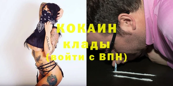 ПСИЛОЦИБИНОВЫЕ ГРИБЫ Инта
