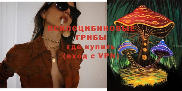 крисы Зеленокумск